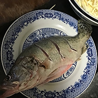 葱油清蒸桂鱼的做法图解1