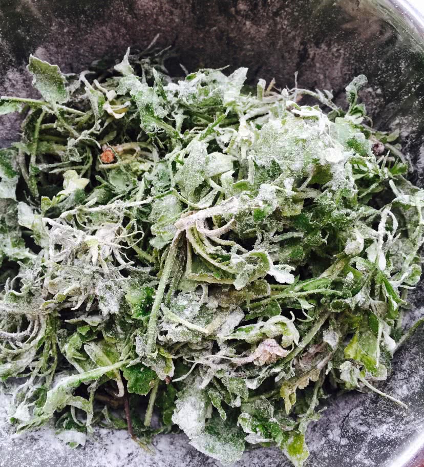 忆苦思甜 蒸野菜#方太一代蒸传#的做法图解4