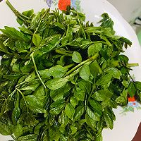 香酥花椒芽的做法图解1