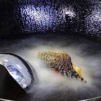 川系鱼香味的起源【老四川豆瓣鱼】的做法图解11