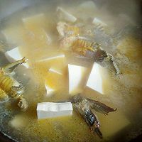 昂刺鱼炖豆腐的做法图解8