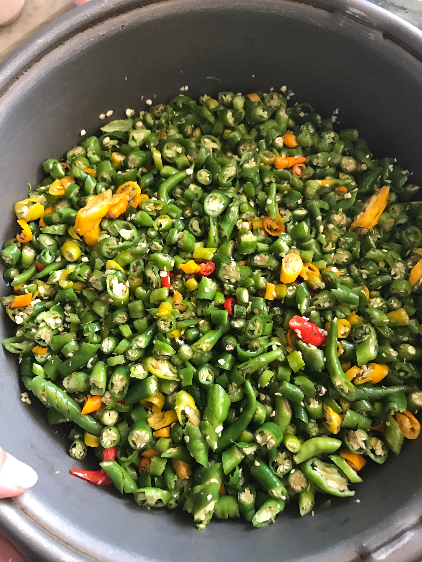 腌青辣椒 Pickled Green Chilies - Nanyang Kitchen 南洋小厨