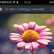 呵呵