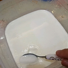 阿勒私房菜之手工酸奶