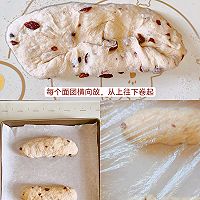 蔓越莓全麦面包的做法图解6
