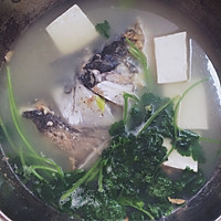正宗芫茜豆腐鱼头汤的做法图解4