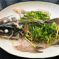 家常清蒸鱼（红友鱼）的做法图解8
