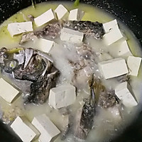 鲤鱼豆腐汤的做法图解7