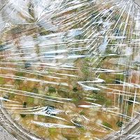 肉沫蒸蛋#美食美刻，乐享美极#的做法图解7