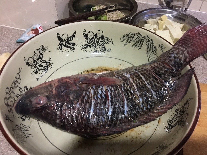清炖罗非鱼的做法图解1