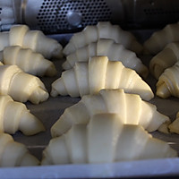 可颂牛角面包 Poolish Croissant的做法图解17