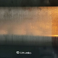 懒人做法，一次发酵的牛奶荷叶饼的做法图解16