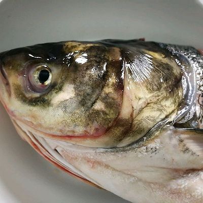 家有孕妇二清炖鱼头汤的做法_菜谱_豆果美食