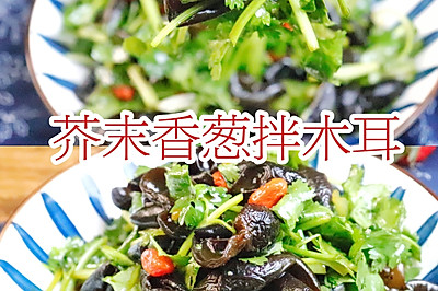 春夏清爽凉拌菜【芥末香菜拌木耳】快手零厨艺