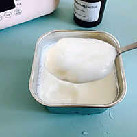 自制无糖脱脂酸奶的做法图解11