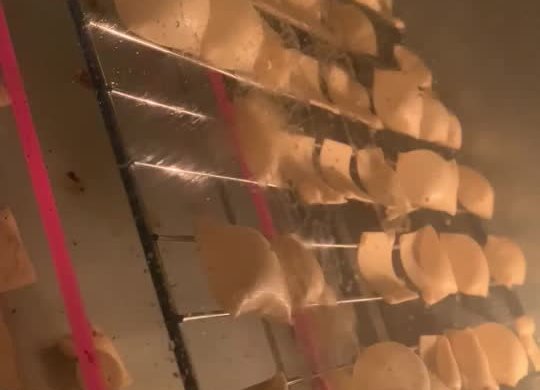 网红小胖子豆皮