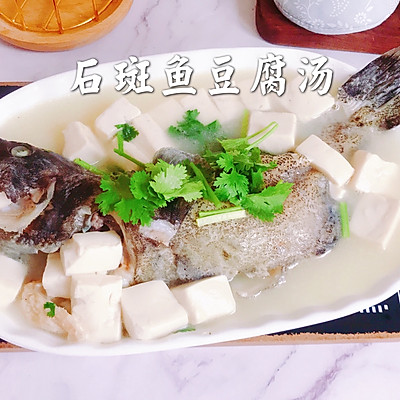 石斑鱼豆腐汤