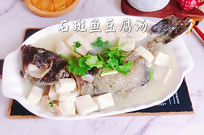 石斑鱼豆腐汤