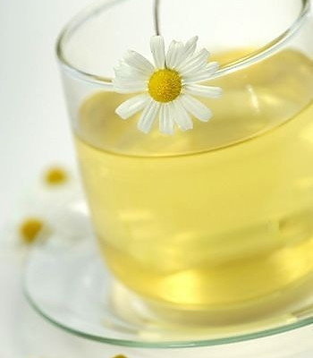 山楂决明子白菊茶饮