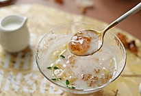 椰奶菠萝炖桃胶雪燕（小南瓜电炖杯食谱）的做法