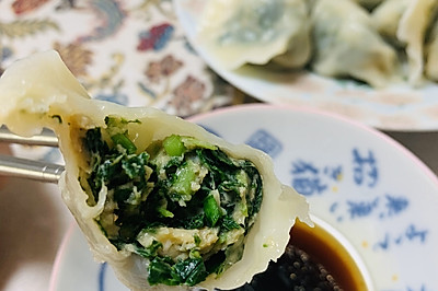 野生苋菜鸡肉水饺