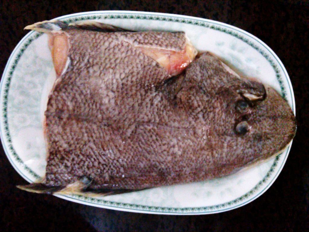 干煎肉鱼的做法_干煎肉鱼怎么做_干煎肉鱼的家常做法_梅【心食谱】