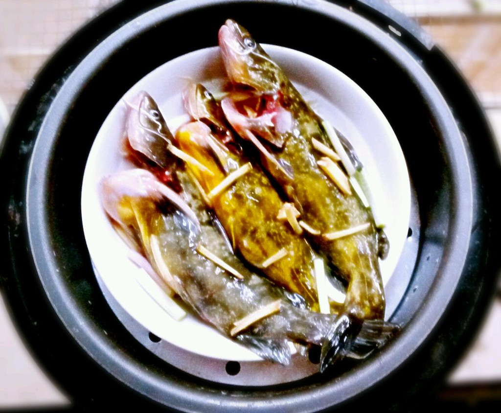 筒子骨焖黄骨鱼怎么做_筒子骨焖黄骨鱼的做法_豆果美食