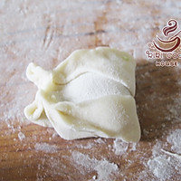 蝴蝶蒸饺的做法图解14