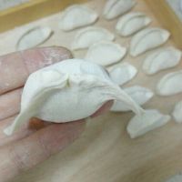 猪肉白菜水饺（详细版含饺子捏法）#爱仕达寻找面点女王#的做法图解14