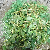凉拌马齿苋的做法图解4