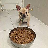 自制狗粮的做法图解8