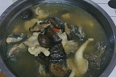 双菇乌鸡汤