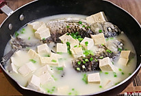 鲫鱼豆腐汤，煮出奶白鲜美鱼汤的秘诀。的做法