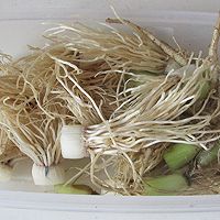 椒盐菜根的做法图解4