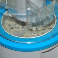 蓝樱桃朗姆酒冰淇淋的做法图解10