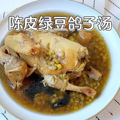 陈皮绿豆鸽子汤