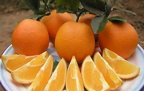 橙心橙意的做法