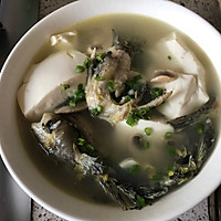 昂刺鱼豆腐汤的做法图解10