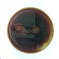 简易蔬菜沙拉的做法图解6