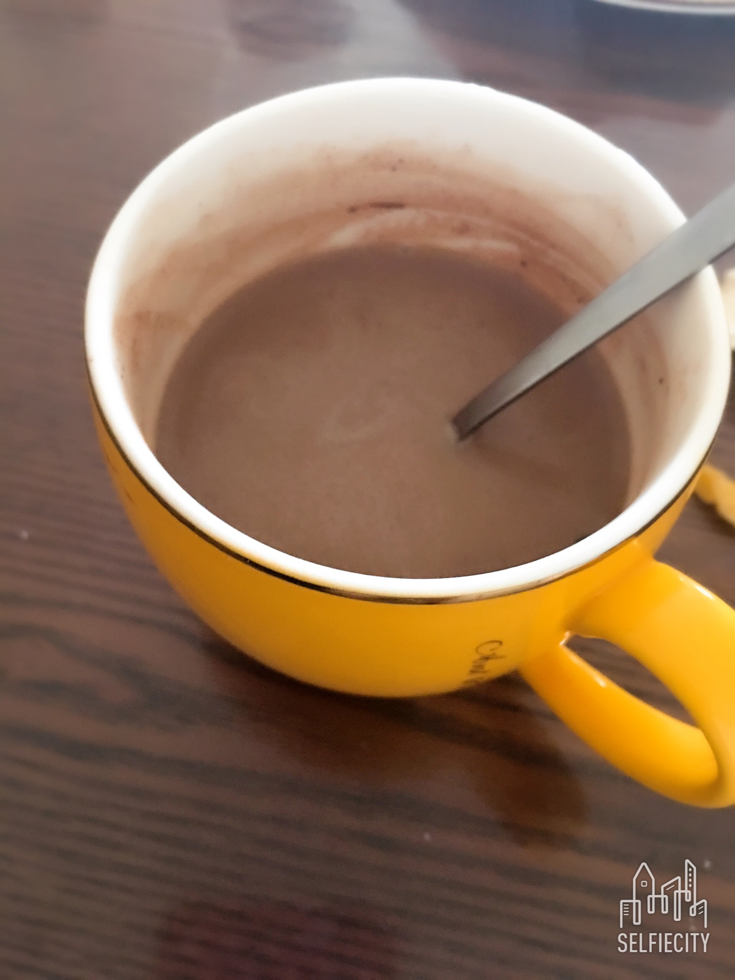 热巧克力奶昔怎么做_热巧克力奶昔的做法_豆果美食