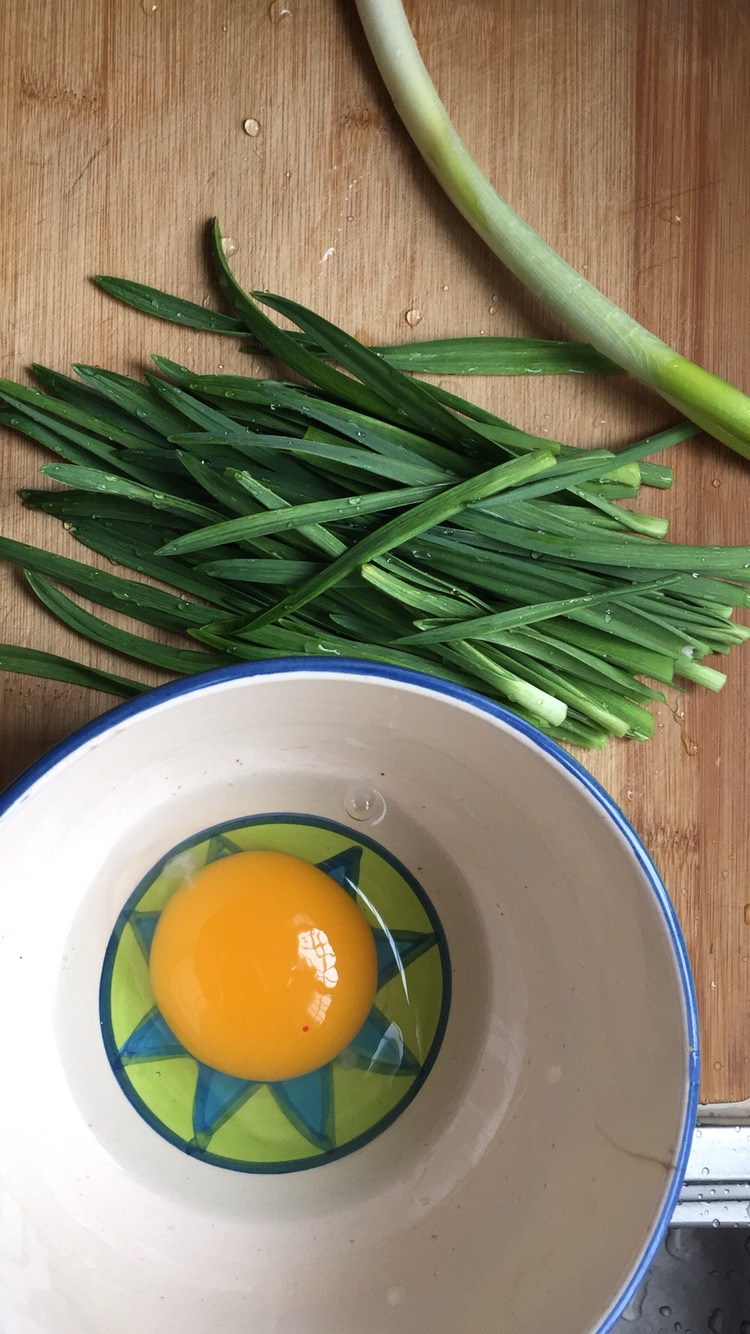 Fried goose egg