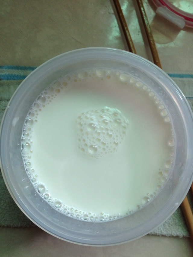 自制酸奶的做法