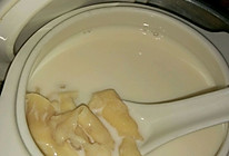 牛奶炖花胶的做法