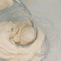 #奶香四溢 暖锅佳味#牛奶哈斯面包的做法图解10