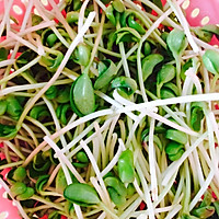 绿色低脂的健康“大豆瓣菜”的做法图解3