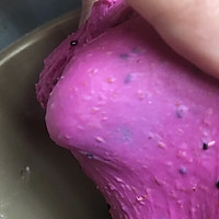 全麦奶酪火龙果欧包的做法图解3