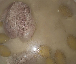 橄榄肉汤的做法