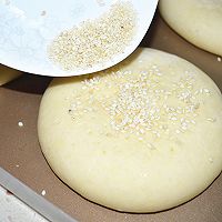 橄榄油椰香芝麻饼#橄露贝贝橄榄油试吃#的做法图解9