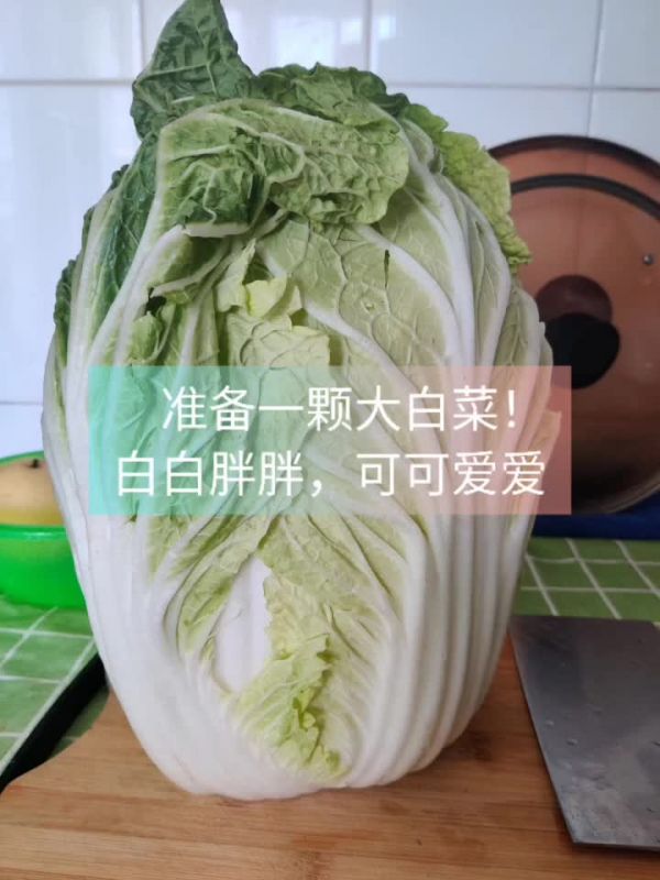 辣白菜(简易版)真的很简易