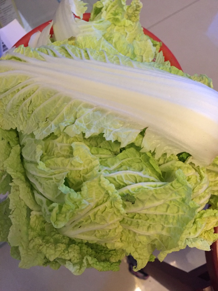 白菜饺子的做法图解2